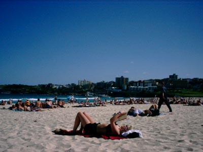 View down the beach