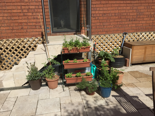 Herb garden