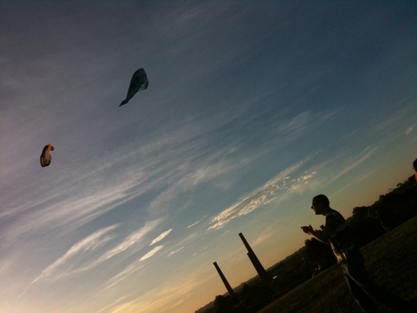 Flying kites