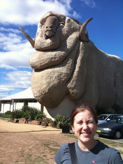 Big Merino