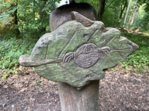 Nature trail signs