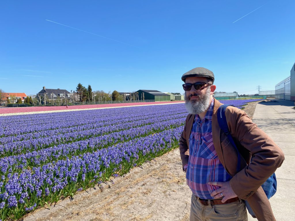 Hyacinth field