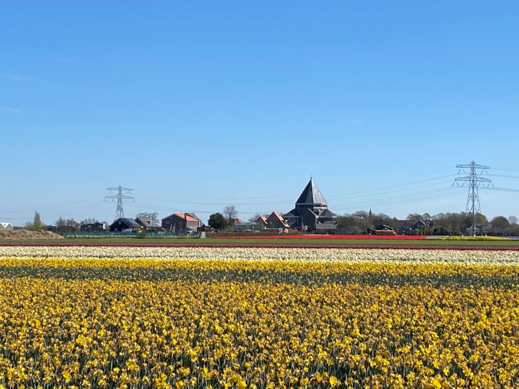 View across the fields