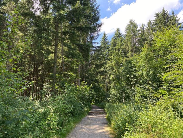 My longest ride to date! 37km/23mi through parks and forests and farmland and meadows. ❤️🚴‍♀️ Munich is so beautiful…