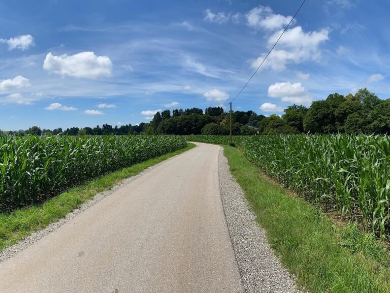 My longest ride to date! 37km/23mi through parks and forests and farmland and meadows. ❤️🚴‍♀️ Munich is so beautiful…