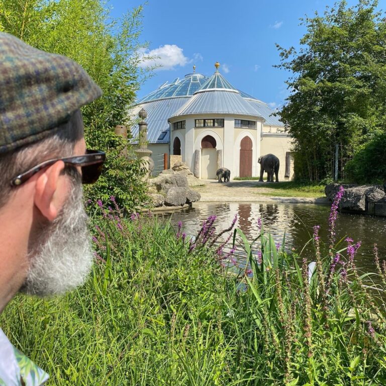 Finally checking out the Munich Zoo on a beautiful day. No feeding the animals… pretzels. 😂 And of course we paid the other Aussie expats a visit… 🦘🐘🦬🦩🦒🦍