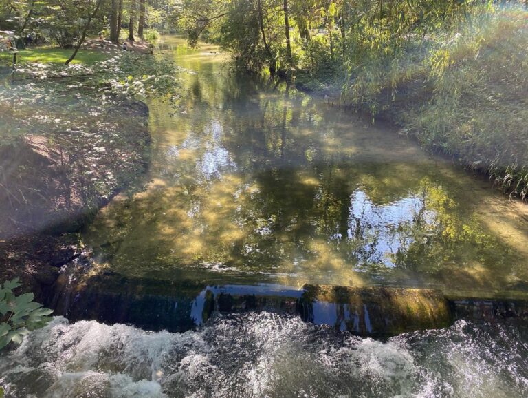 Halfway through a long ride in the Englischer Garten on a beautiful Autumn day… ❤️🚴‍♀️🍁🌻