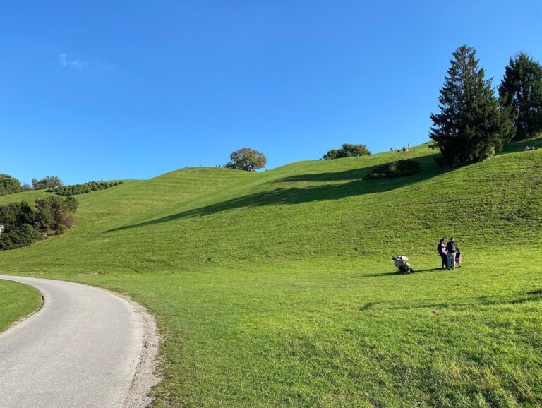 26km ride today past Nymphenburg, through Olympiapark, into the Englischer Garten Nord and all the way south to the city, through Marienplatz and the Altstadt to Sendlinger Tor and then home… Pretty much the greatest hits of Munich! 🚴‍♀️🍂