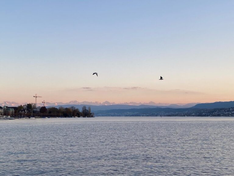 Zürich at dusk is very, very pretty. 🏔🌅