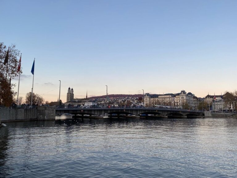 Zürich at dusk is very, very pretty. 🏔🌅