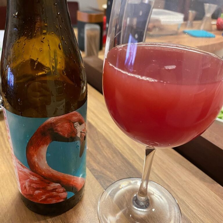 Belgian Beer Tasting #4 - Flamingo by @beer4nature. Never had a framboise so cloudy! It’s quite tart. 🍻 #raspberry