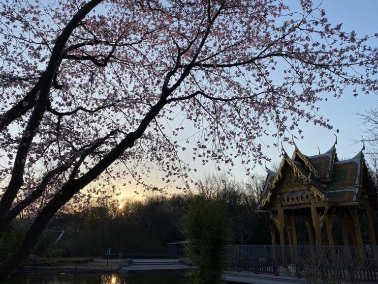 Meetings all day, but I still made it out for a quick sunset ride in Westpark to catch the cherry blossoms in bloom (along with everything else)! 🌸