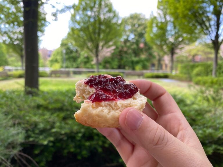 One of my (woman) colleagues today asked if anyone had tips for staying productive in spite of massive despair and rage. I’ve got no good answer, beyond homemade baked goods from the Snook and staying off Twitter. 😡 #roevwade