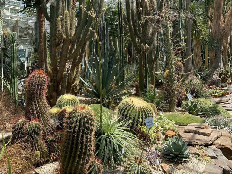 We finally checked out Munich’s Botanic Gardens today! 🌵🌴🌺🦋