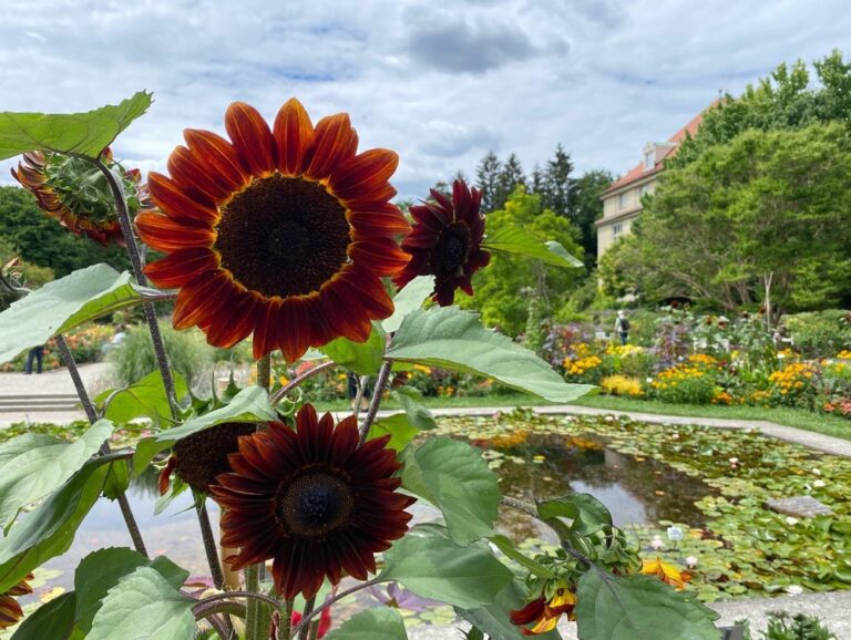 We finally checked out Munich’s Botanic Gardens today! 🌵🌴🌺🦋