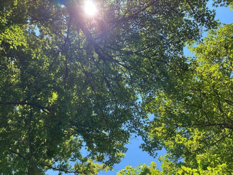 It’s a beautiful sunny day, so we headed to the Maria Einsiedel Naturbad. This is an outdoor swimming area next to the Isar with pools fed by the river, as well as a flowing canal. We picnicked and lazed under the trees and swam in the icy cold water. Munich in the summer is pretty special. ❤️☀️🌊 #bucketlist