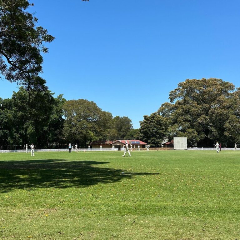 A hot, sunny summer’s day! I rode my bike over to the @knittersguildnsw meeting, then across Alexandria Park and stopped to watch a bit of the cricket. Then over to @bracketbrewing to meet the Snook for a cheeky beer, before finishing up at the @thealex_hotel for lunch. ☀️🚴‍♀️🍻 (2023 beer garden count: 1!)