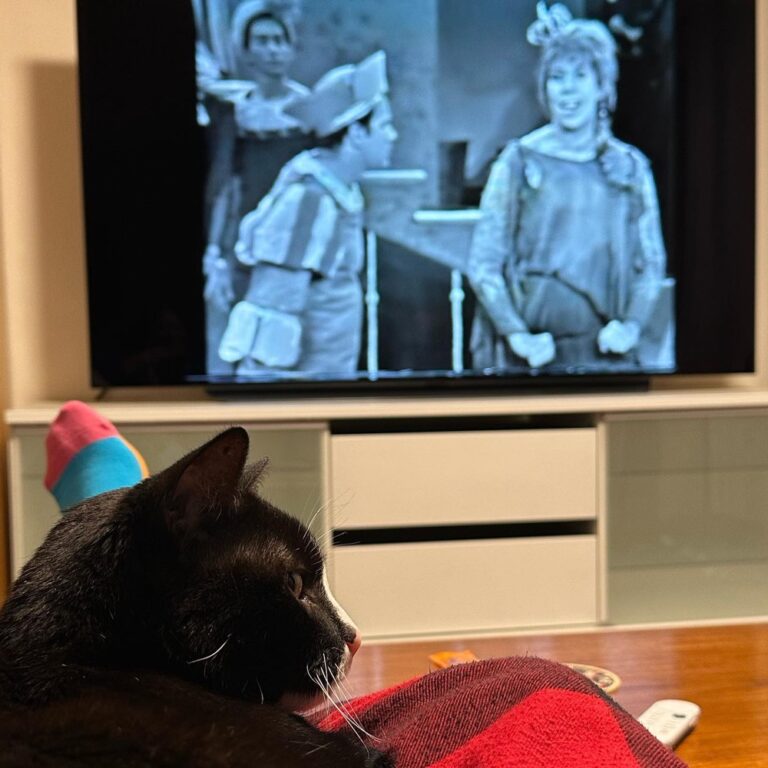 Petey and I are watching the 1964  TV version of “Once Upon a Mattress”. He’s a big fan of Carol Burnett. 👸