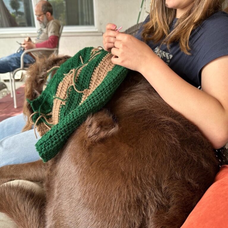 My niece Indie is finishing her first crochet sweater, and I just taught her to weave in her ends… but Arthur is making things a bit difficult! 😂🐶🧶