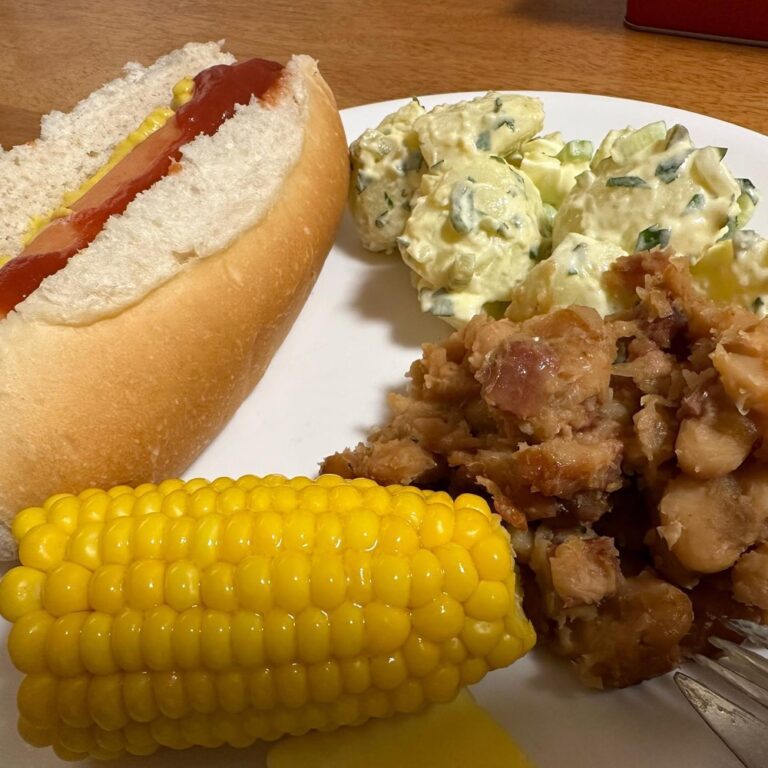 A few days ago I said to the Snook, “Hey, the 4th of July is coming up. We should have American food!” Next thing I know he’s making baked beans and “best ever American potato salad” from scratch! 😍🇺🇸