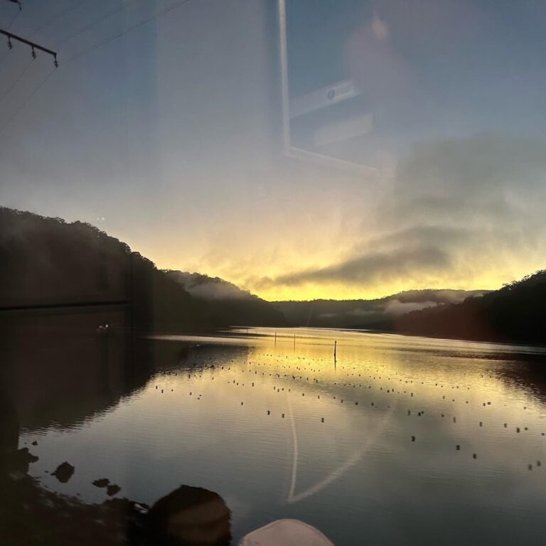 She’s leaving on that midnight train to Sydney… 🎶 We caught the very late Brisbane-to-Sydney train in Macksville (our 2nd ever sleeper train) last night. Not my most comfortable sleep ever, but I did fit on the bunk and we woke up to an amazing sunrise. 🌅🛤️