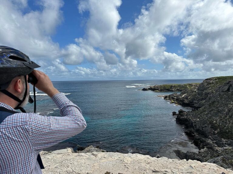 Rottnest is truly one of the most beautiful places I’ve ever been. We rode about 30km with @paulsecoebiketours, and we saw whales, lizards, osprey, and of course, quokkas. ❤️ 🚴‍♀️ #quokkaselfies