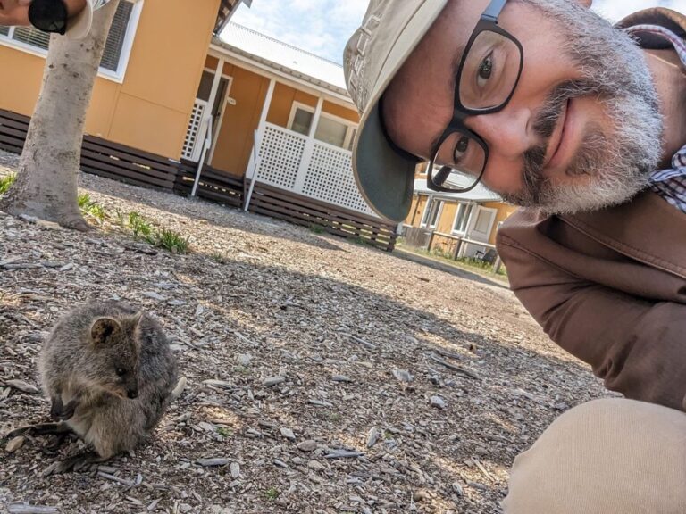 Rottnest is truly one of the most beautiful places I’ve ever been. We rode about 30km with @paulsecoebiketours, and we saw whales, lizards, osprey, and of course, quokkas. ❤️ 🚴‍♀️ #quokkaselfies