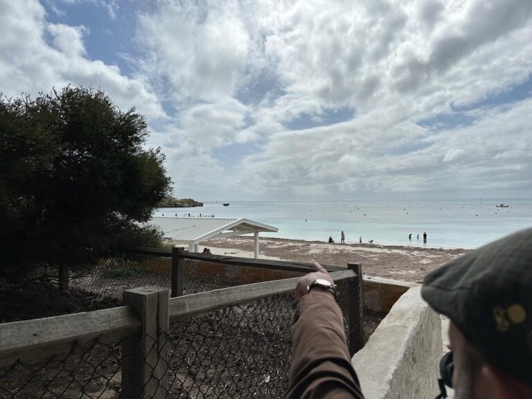 Rottnest is truly one of the most beautiful places I’ve ever been. We rode about 30km with @paulsecoebiketours, and we saw whales, lizards, osprey, and of course, quokkas. ❤️ 🚴‍♀️ #quokkaselfies