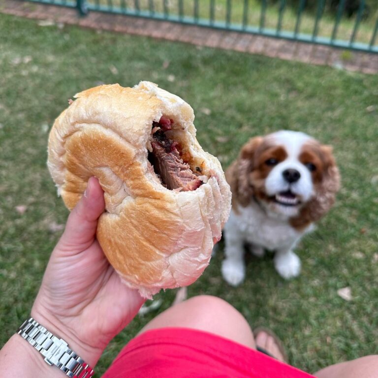 The reward for playing chauffeur - smoked brisket. (Rocket thinks it’s his reward too.)