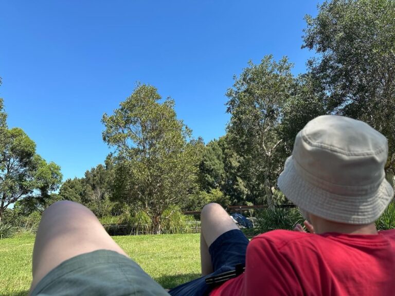 Sydney Park on a beautiful day with the Snook. 🌳☀️❤️