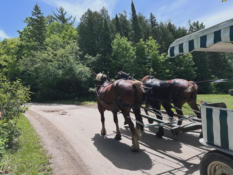 A day on Mackinac Island. We escaped the tourist shops and hiked about 9km (5.5mi) around the SE corner to Skull Cave and Arch Rock. Beautiful day! 😍