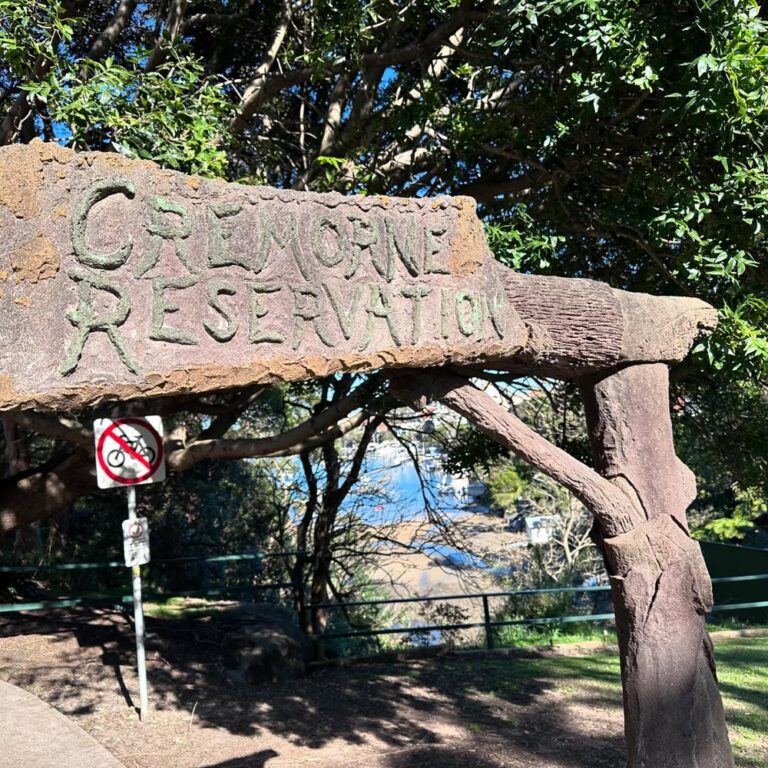 What a beautiful day! We went on an expedition over the Harbour Bridge to Cremorne, where we walked all around the point. It’s lovely! Sandstone cliffs, patches of regenerated native bushland, sailboats, formal gardens, stunning mansions, and many bush turkeys. Then we caught the ferry back for those million dollar views… ⛴️ ☀️ ❤️