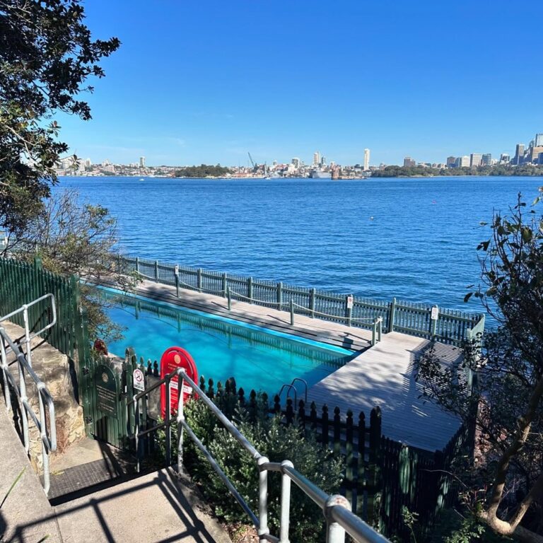 What a beautiful day! We went on an expedition over the Harbour Bridge to Cremorne, where we walked all around the point. It’s lovely! Sandstone cliffs, patches of regenerated native bushland, sailboats, formal gardens, stunning mansions, and many bush turkeys. Then we caught the ferry back for those million dollar views… ⛴️ ☀️ ❤️