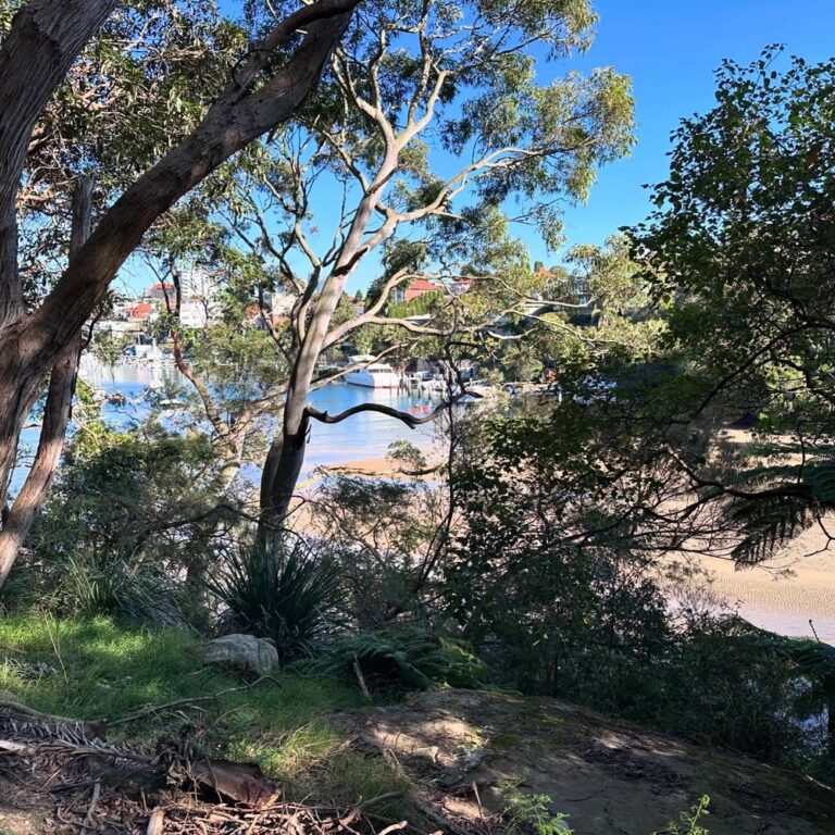 What a beautiful day! We went on an expedition over the Harbour Bridge to Cremorne, where we walked all around the point. It’s lovely! Sandstone cliffs, patches of regenerated native bushland, sailboats, formal gardens, stunning mansions, and many bush turkeys. Then we caught the ferry back for those million dollar views… ⛴️ ☀️ ❤️