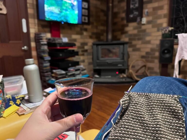 Wine, wood fire, and knitting. All you need for a winter’s evening. 🍷🔥🧶