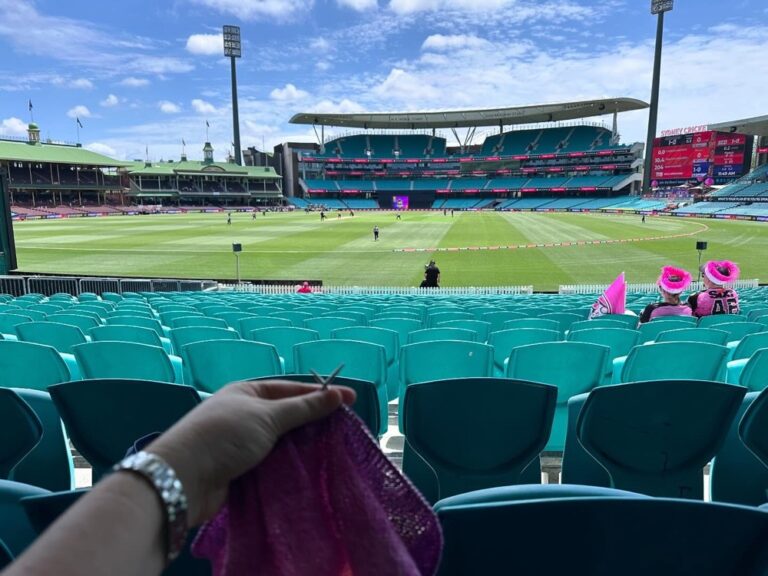 Knitting at the cricket. Given the colour of my project, I think I’ll cheer for the @sixersbbl today! 🧶🏏