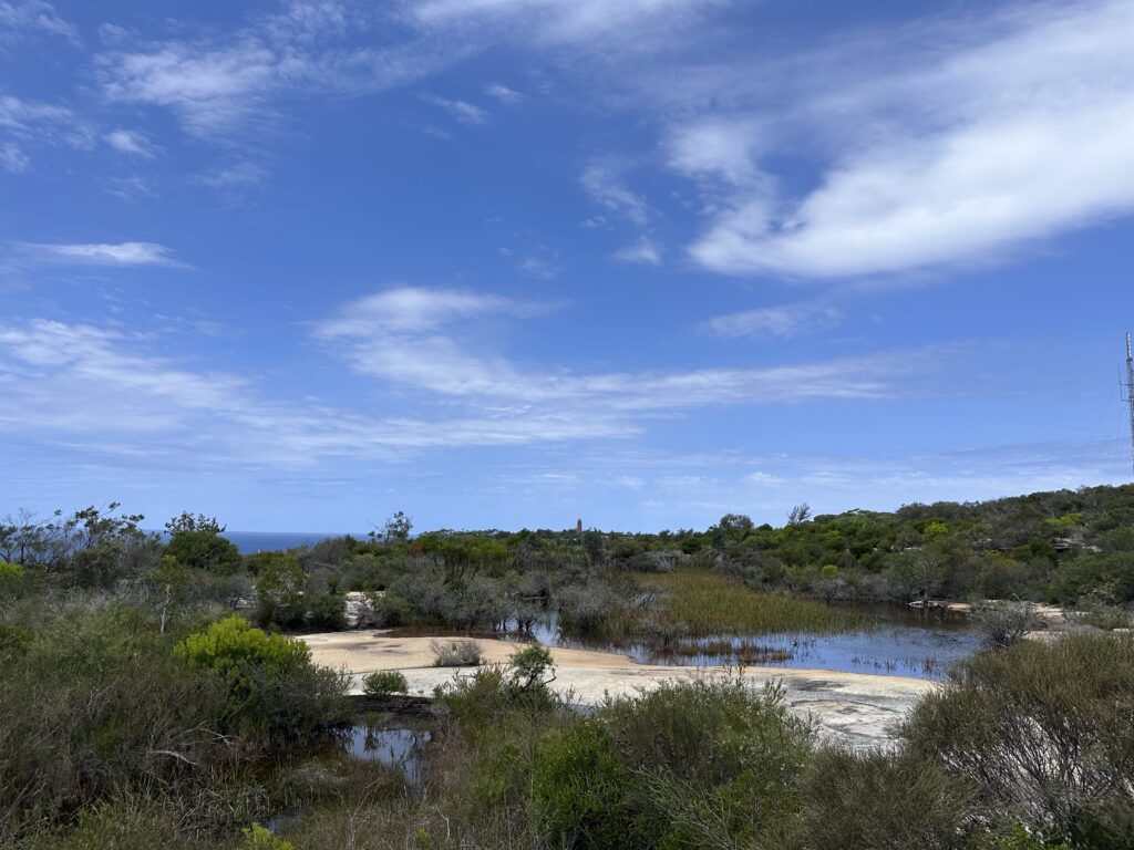 Old Quarry Swamp