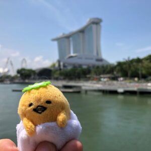 Checked out of the Marina Bay Sands. (Gudetama is BEREFT.) 😭 https://t.co/49aqp3SqjH https://t.co/3l3W72izSk