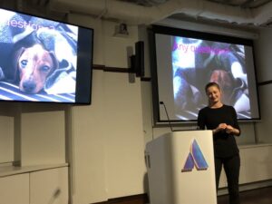 Interesting tactic to get nice questions - show a photo of your beautiful pupper! #ggdsyd @GRobilliard https://t.co/ZpfxTF3Rtt