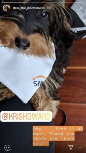 Peak 2018: being tagged in your friend’s dog’s Insta Story as a thank you for making him a custom bandanna. 😂❤️🐶 @frankarr https://t.co/B0tnuRXgWJ