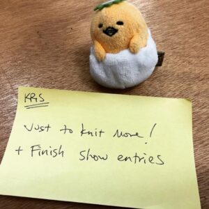 Every year at @knittersguildnsw we review our knitting resolutions from January. Gudetama knows I didn’t achieve either of mine. 😬 https://t.co/ccDFP9G7vf https://t.co/lvePkzs2a4