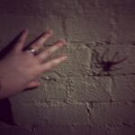 Nearly at the house when I saw something skitter to my left. Yup, Huntsman. (My hand for scale, because I’m just that much of a badass.) 🕷 https://t.co/YPtTs7rdEG https://t.co/X014d74vJL