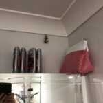 A heart-racing true story, that just happened in my house: “I think there’s a big-ass spider on the loose,” said the Snook. Me: “How do you know?” “Because he’s molted and his old shell’s hanging above the medicine cabinet.” 1/n 🕷 https://t.co/QilKuL3jCZ