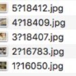 @solotrader Duh, I know. I've used it. That's not the problem. The issue is that the final step of my loop is to rename a file, and Automator is prepending the loop counter to the filename even though I've told it to replace the full name. https://t.co/M2GvHBpU8V