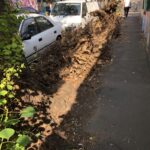 @cityofsydney Tree loppers pruned on Grafton St in Chippendale but somehow the mulch truck missed picking up branches. Been sitting there a while now! https://t.co/VyU0l66TB6