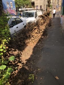 @cityofsydney Tree loppers pruned on Grafton St in Chippendale but somehow the mulch truck missed picking up branches. Been sitting there a while now! https://t.co/VyU0l66TB6