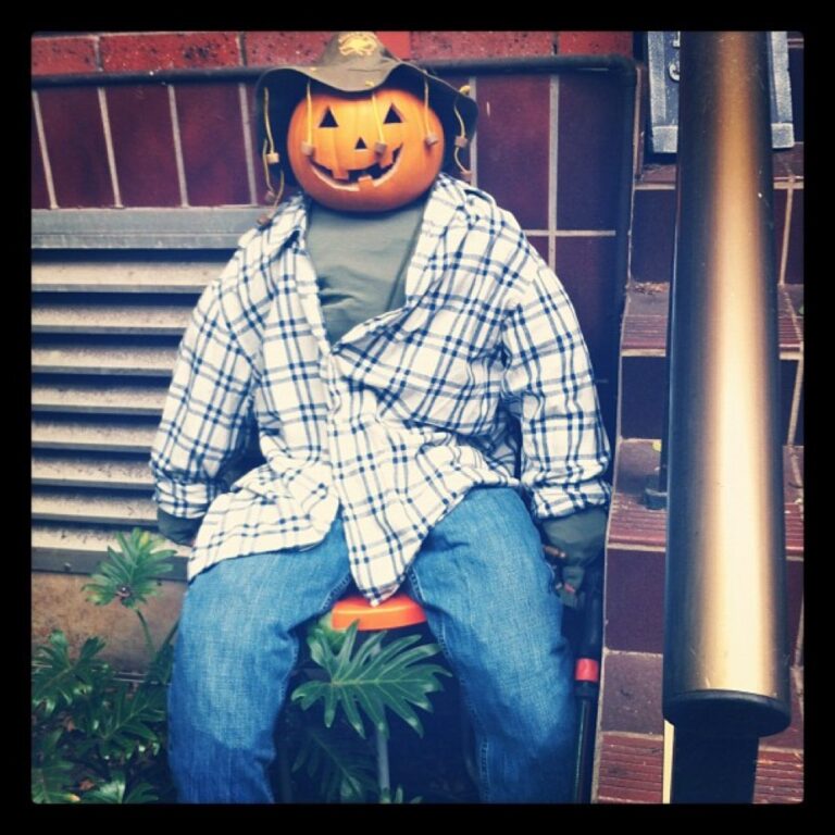 My American-Australian scarecrow jack-o-lantern. It's all coming together!