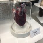 A felted human heart. https://t.co/6QdW5cREtd