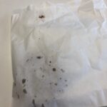 @gilmae @the_snook I purchased my cookie. It was indeed still warm, and it left spots of fat and chocolate on the bag. https://t.co/odAvitr2Gd