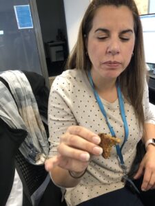 @gilmae @the_snook I convened a conclave of experts for the taste test. First was @kezmc, who said she’d have liked it to be chewier, but that it was a “pretty good cookie, something [her] kids would like,” but nothing extraordinary. https://t.co/JMinWtP44T